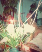 Анкета проститутки Майя - метро Дмитровский, возраст - 25